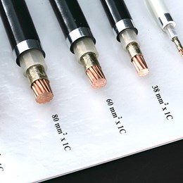  CÁP ĐIỆN CHỐNG CHÁY / FIRE RESISTANT POWER CABLE