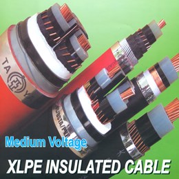 CÁP ĐIỆN LỰC TRUNG THẾ / MEDDIUM VOLTAGE POWER CABLE